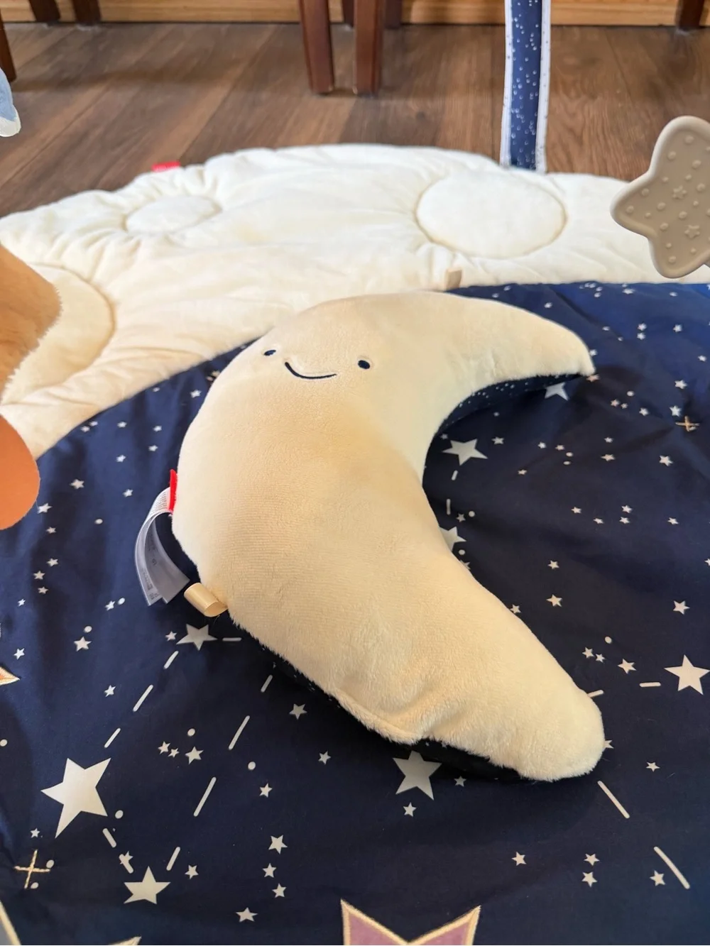 Skip Hop Celestial Dreams Play Gym / Tummy Time Mat & Moon Pillow